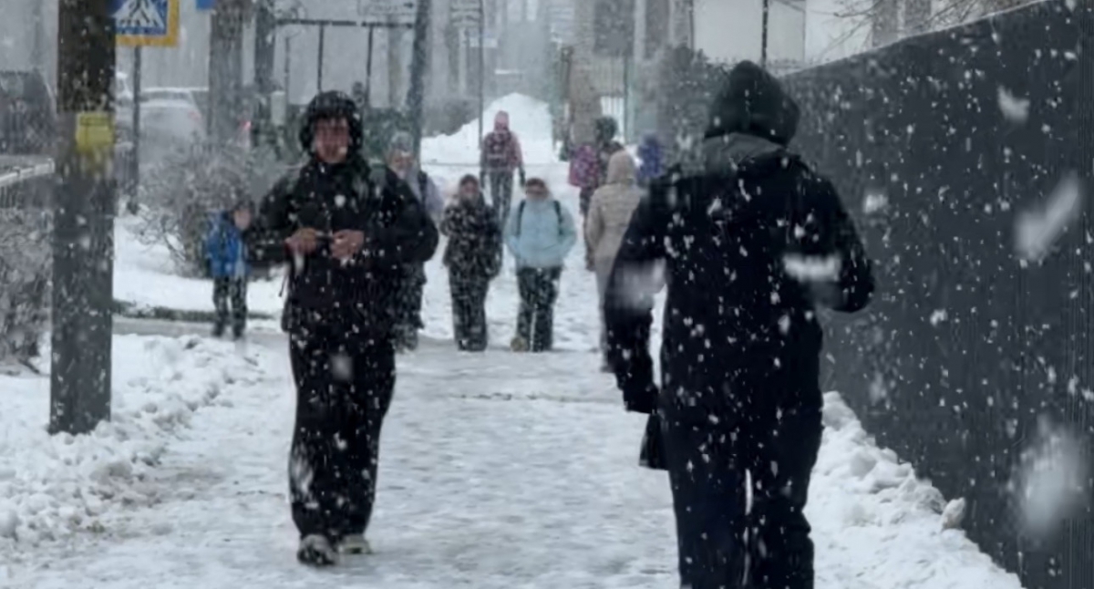 Добрая борская история