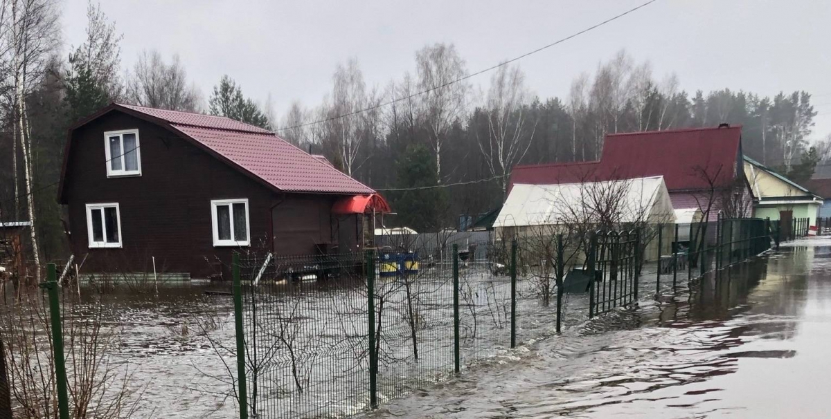 Кадры затопленного СНТ «Колос» в Борском округе были показаны на Первом канале