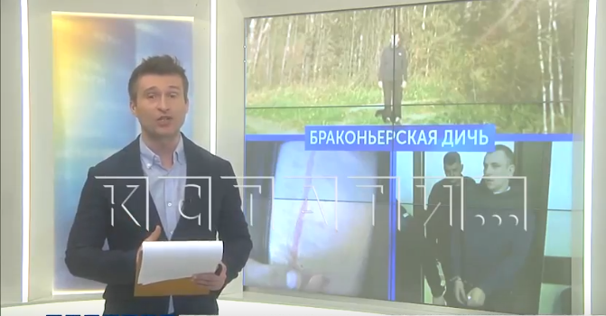 Браконьеру, ранившему человека при стрельбе в лесу, вынесли обвинительный приговор