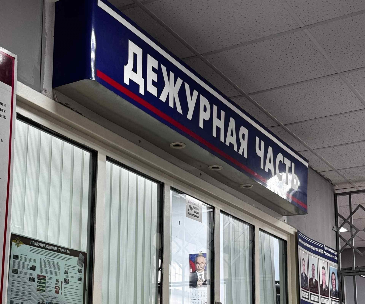 Борские полицейские раскрыли серию краж из хозяйственных построек