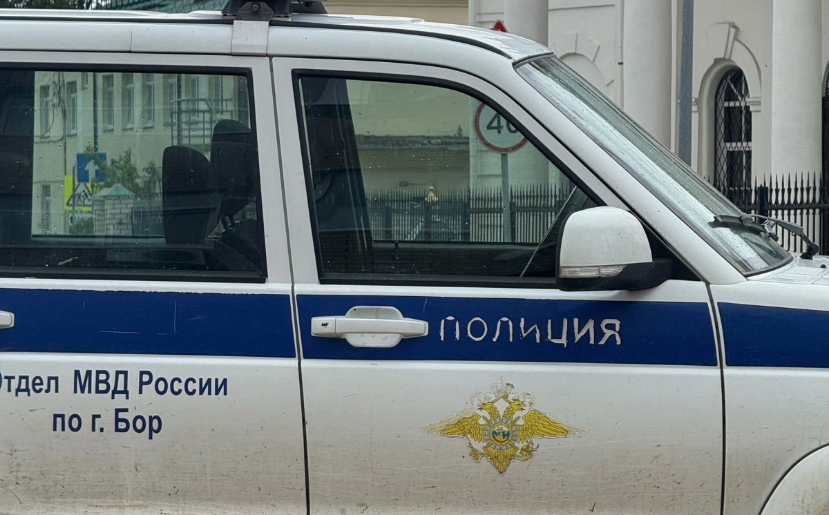 Угнанный в Кстово автомобиль нашли на Бору