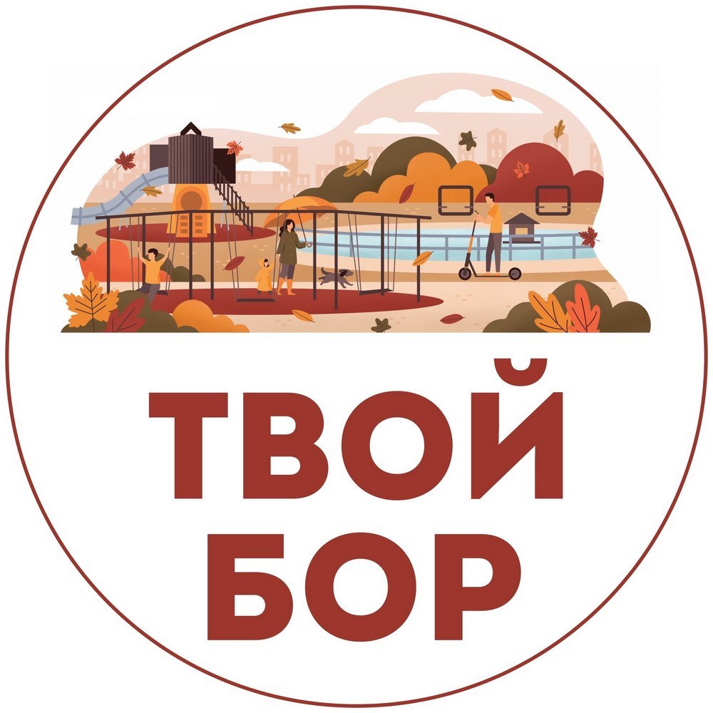 Твой Бор