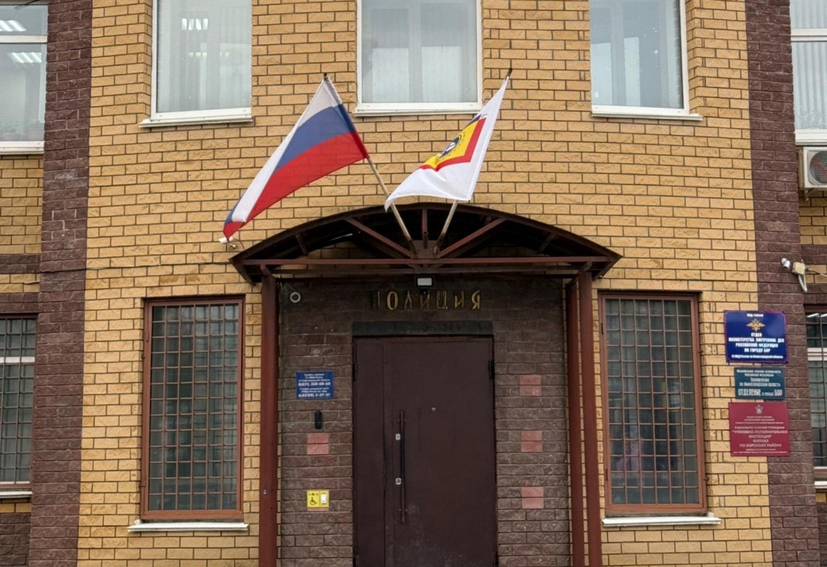 Борчанка предстанет перед судом