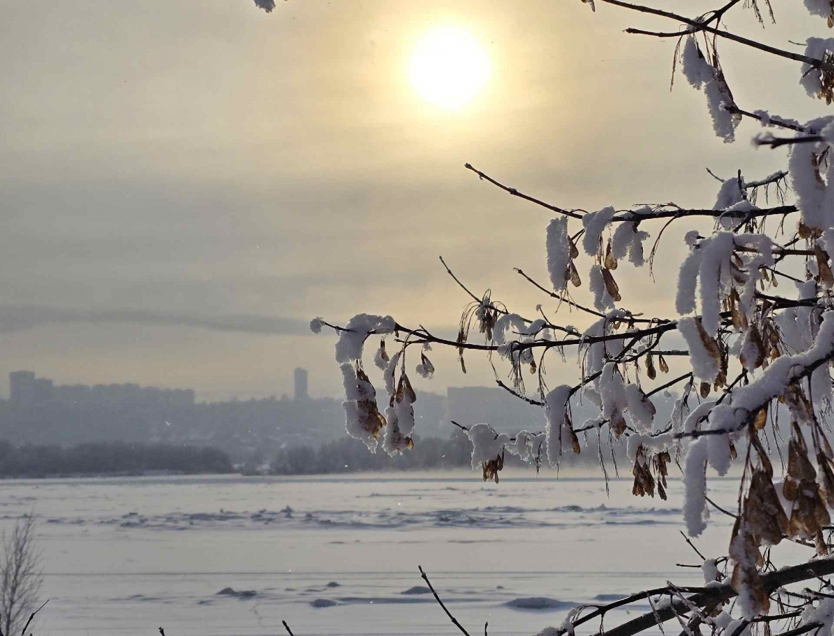 А вы знаете, сколько снега сейчас в центре Бора?